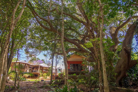 The African Village - By Clouds - Accommodation Guide 0