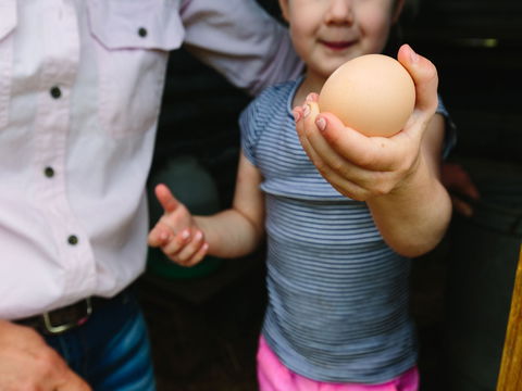 Tommerups Dairy Farmstay - Accommodation China 1