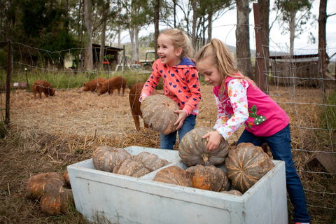 Tommerups Dairy Farmstay - Accommodation China 2