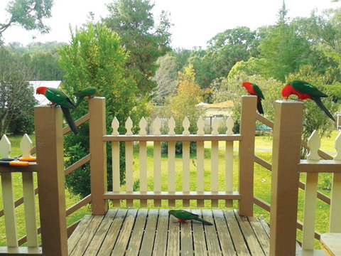 Warrumbungles Mountain Motel - Accommodation China 0