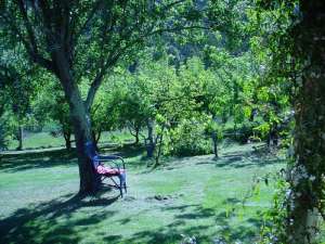 Murnong Self Contained Cottages - Accommodation China 3