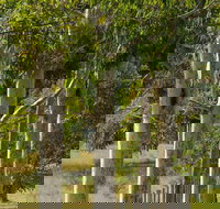 Stringybark Cottages - Accommodation Guide