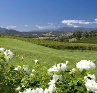 Balgownie Estate Vineyard Resort and Spa - Accommodation Guide