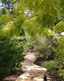 Eagle Hammer Cottages - Accommodation China 0