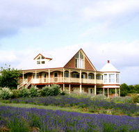 Serendipity Lavender Farm - Accommodation Guide