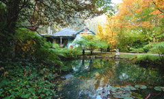 Monreale Estate - Accommodation Asia 0