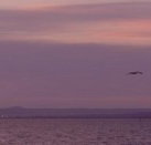 Pelican Sands Bed and Breakfast - Accommodation China