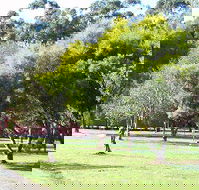 Otways Tourist Park - Accommodation Guide