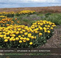 Alpine View Apartments - Accommodation Guide