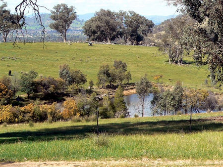 Gaddleen Grove Cottages - Accommodation Guide 3