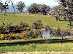 Gaddleen Grove Cottages - Accommodation Guide 5