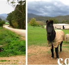 Emerald Park Holiday Farm - Accommodation Guide