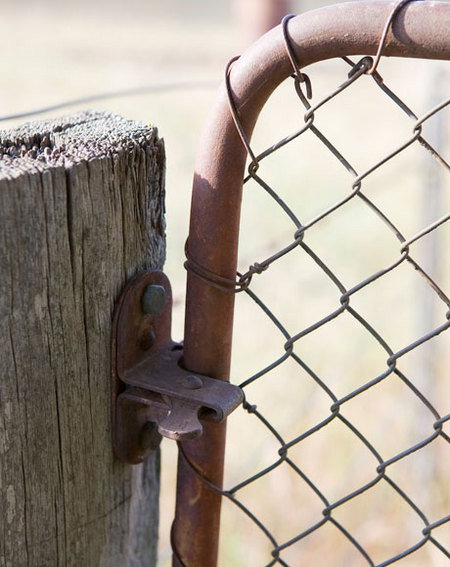 Mount Pleasant Homestead - Accommodation Asia 2