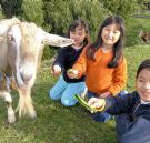 Johanna River Farm and Cottages - Accommodation Guide