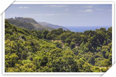 Beachcomber Motel And Apartments - Accommodation China 3