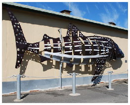 Apollo Bay Recreation Reserve Caravan And Camp Park - Accommodation China 1