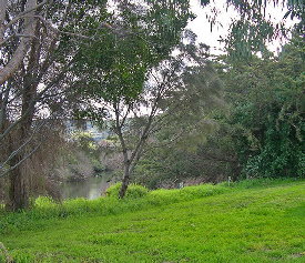 Apollo Bay Recreation Reserve Caravan And Camp Park - Accommodation China 3