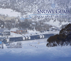 Snowy Gums Chalet - Accommodation Asia 0