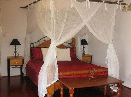 Attunga Park Country Retreat - Accommodation China 4