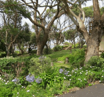 Anchlia Waterfront Cottage - Accommodation China 2