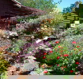 Chestnut Brook Cottage - Accommodation Guide