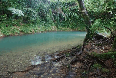 Heritage Lodge And Spa - Accommodation Asia