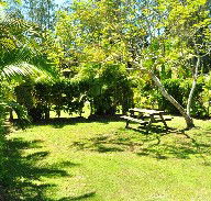 Wooli Caravan Park - Accommodation Guide