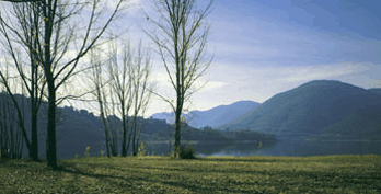 Ashton Townhouse Motel & Suites Tumut - Accommodation China 3