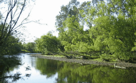 Ribbonwood Cottages - Accommodation China