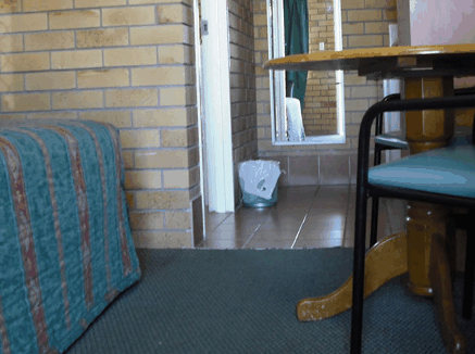 Dragon  Phoenix Motel - Accommodation China