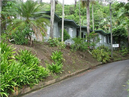 Tree Tops Lodge Cairns - Accommodation China 1