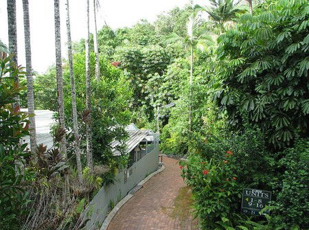 Tree Tops Lodge Cairns - Accommodation China 2
