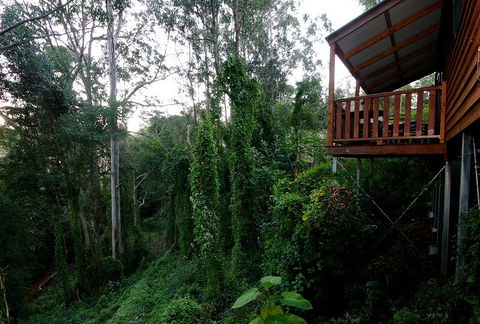 Ravensbourne Forest Chalets - Accommodation Asia 1