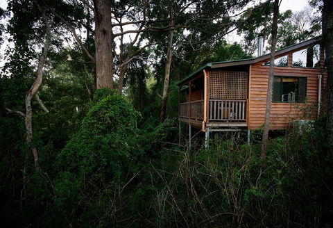 Ravensbourne Forest Chalets - Accommodation Asia 4