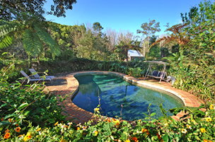 Acacia Dreaming At Light On Retreat - Accommodation China 3