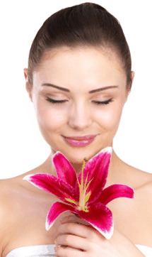 Sorbet Day Spa - Accommodation Asia