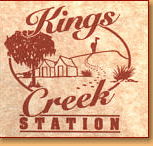 Kings Creek Station - Accommodation Guide