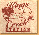 Kings Creek Station - Accommodation Guide 0