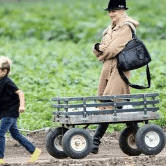 Perth City Farm Organic Markets - Accommodation China 0