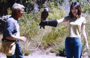 Eagles Heritage Raptor Wildlife Centre - Accommodation Asia 2