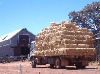 Avondale Discovery Farm - Accommodation Guide 1