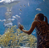 The Aquarium Of Western Australia - Accommodation Asia 0