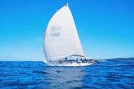 Manly Harbour Village - Accommodation Guide