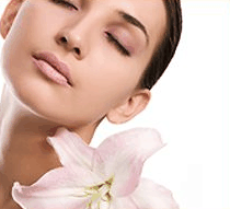 Stephanies Spa Retreat - Accommodation Guide