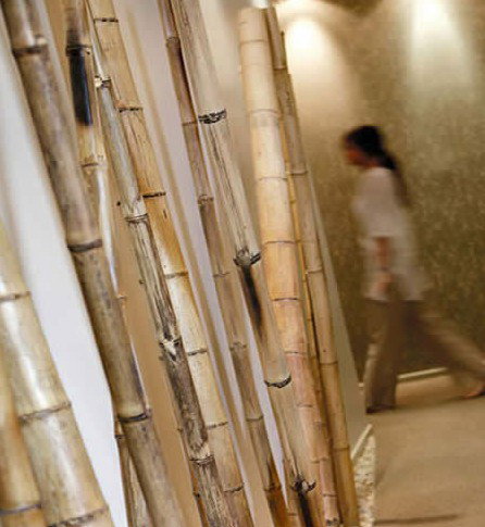 Spa Nirvana - Accommodation Asia 0