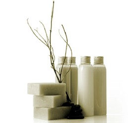 Brighton East VIC Accommodation China