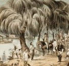 Joshua McClelland Print Room - Accommodation China