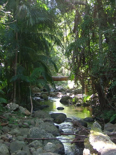 Thunderbird Park - Accommodation Guide 2