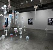 Nellie Castan Gallery - Accommodation Guide