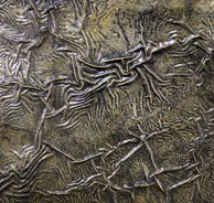 Hawthorn Studio & Gallery - Accommodation China 0